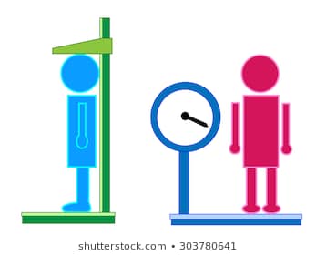 Image of Height and Weight Measurement Programme
